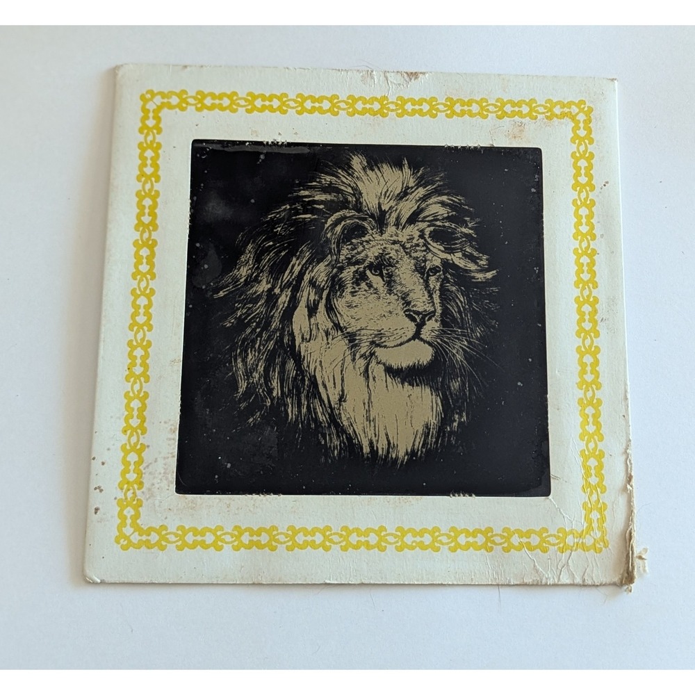 Vintage Lion Portrait Print Yellow Border Cardboard‎ Stand Tabletop Art 8x8